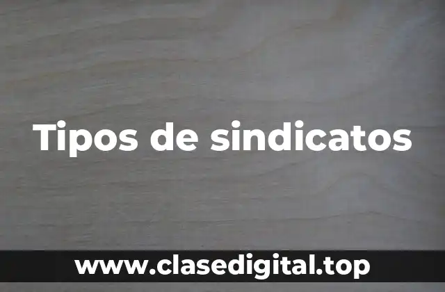 Tipos de sindicatos