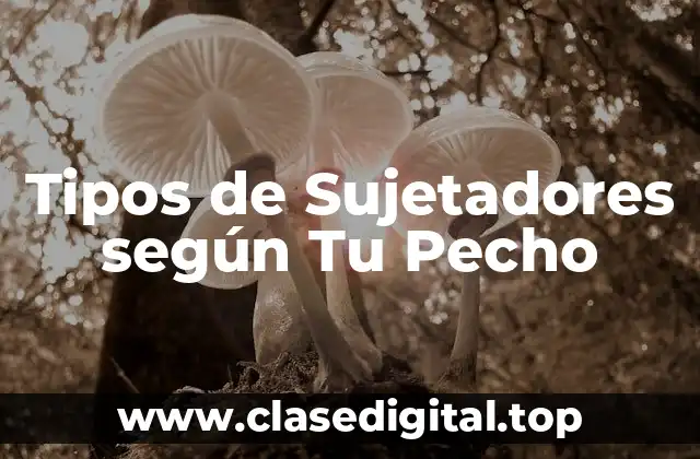 Tipos de Pechos: Cómo Determinar Tu Tipo de Pecho