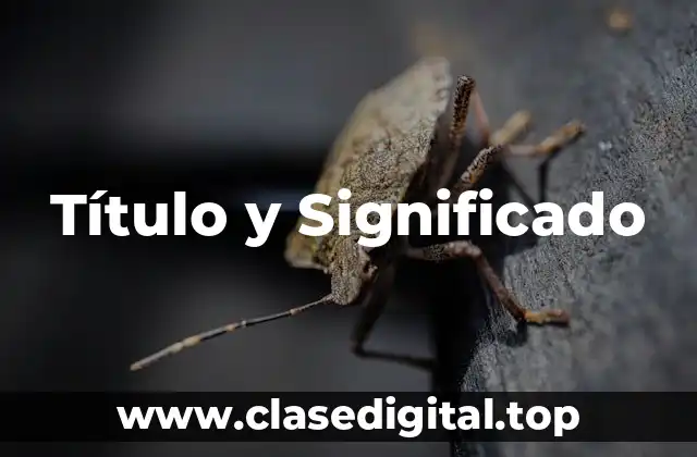 ¿Cómo se utilizan las etiquetas en HTML?