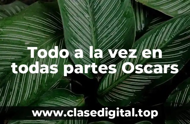 Todo a la vez en todas partes Oscars