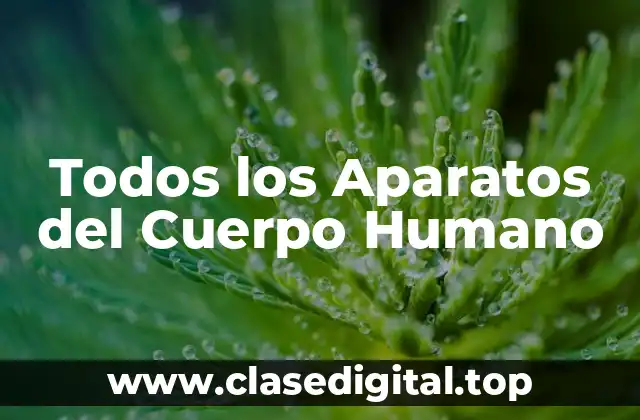 Todos los Aparatos del Cuerpo Humano