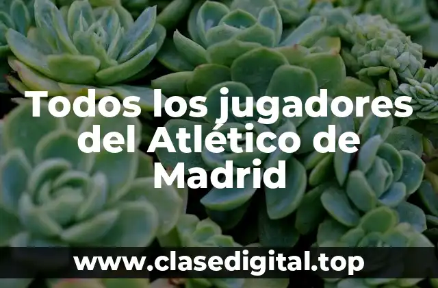 Todos los jugadores del Atlético de Madrid