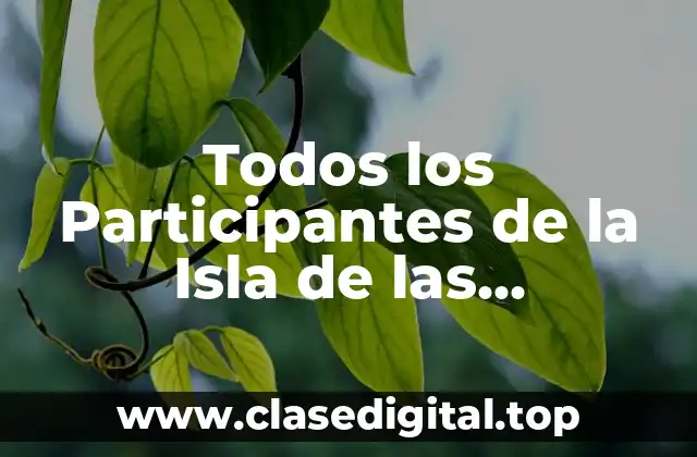 Cómo Funciona el Programa de la Isla de las Tentaciones