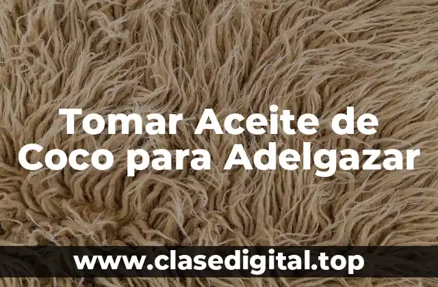 ¿Qué es el Aceite de Coco y Cómo se Produce?