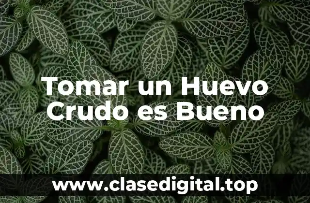 Tomar un Huevo Crudo es Bueno