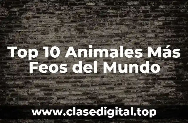 ¿Qué Hace que un Animal Sea Considerado Feo?