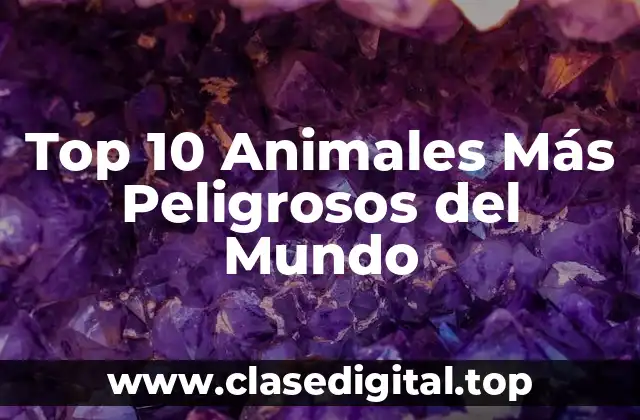 ¿Cuáles Son los Animales Más Mortíferos del Mundo?