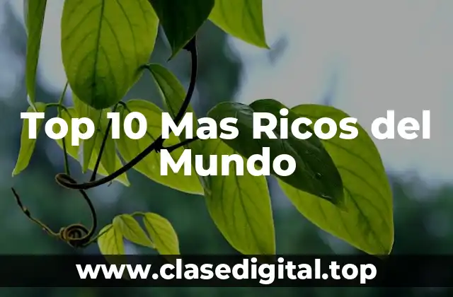 Top 10 Mas Ricos del Mundo