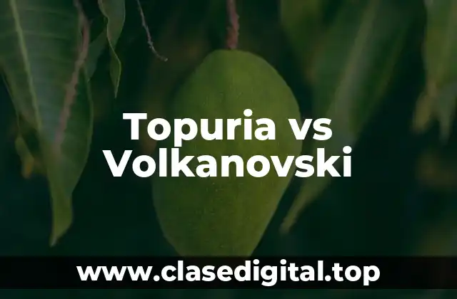 Topuria vs Volkanovski