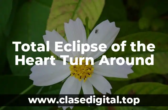 Total Eclipse of the Heart Turn Around