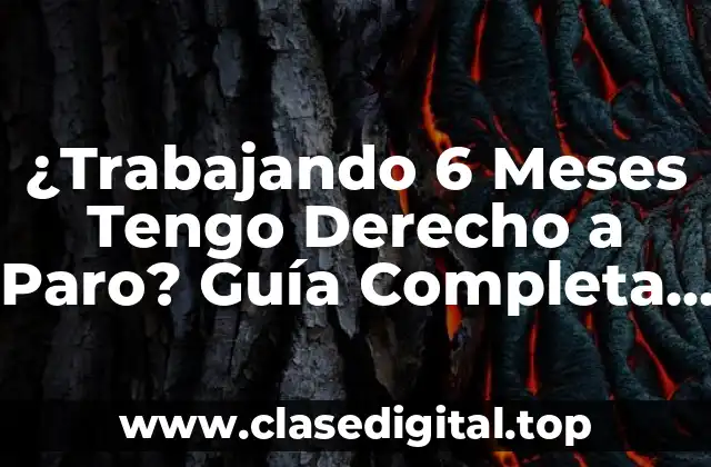 ¿Trabajando 6 Meses Tengo Derecho a Paro? Guía Completa para Conocer tus Derechos