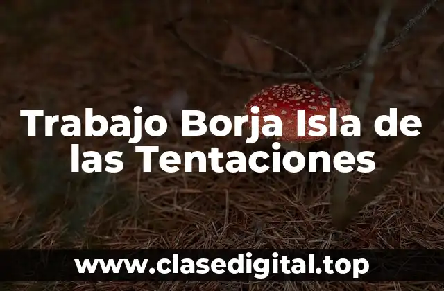 Trabajo Borja Isla de las Tentaciones