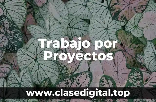 Trabajo por Proyectos