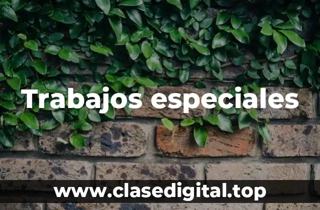 Trabajos especiales