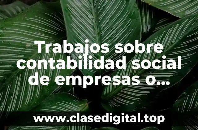 Trabajos sobre contabilidad social de empresas o municipios