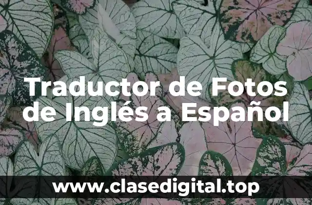 Traductor de Fotos de Inglés a Español
