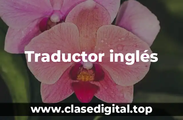 Traductor inglés