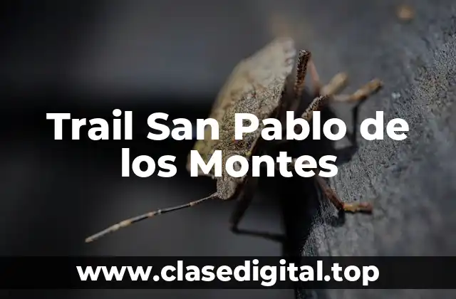 Trail San Pablo de los Montes