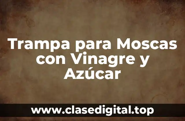 Trampa para Moscas con Vinagre y Azúcar