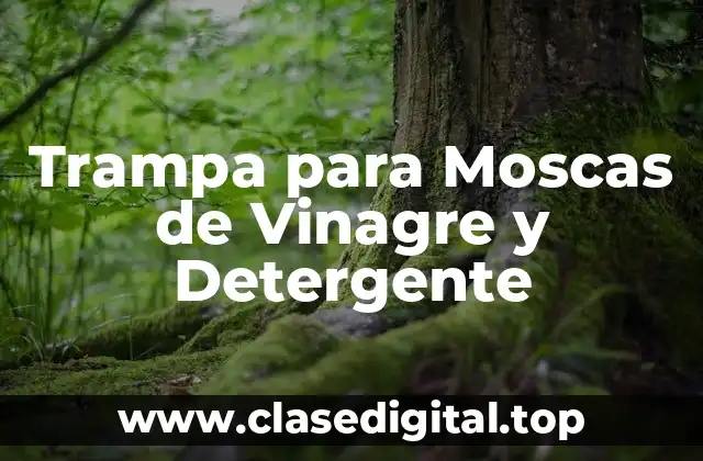Trampa para Moscas de Vinagre y Detergente