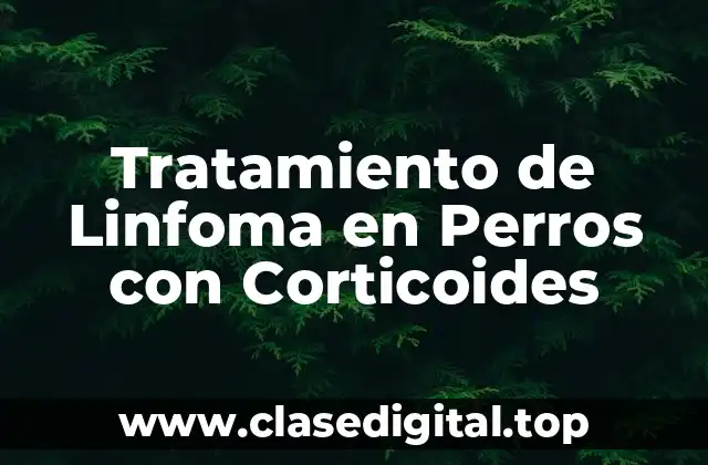 ¿Qué es el Linfoma en Perros?