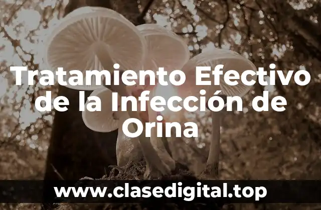 Causas de la Infección de Orina