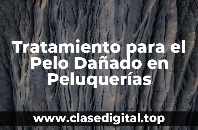 Tratamiento para el Pelo Dañado en Peluquerías