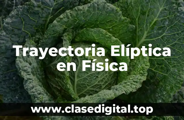 Trayectoria Elíptica en Física