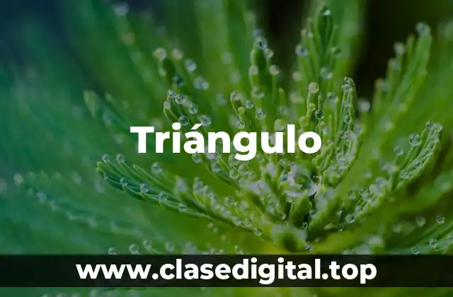 Triángulo