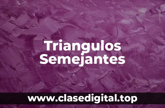 Triangulos Semejantes