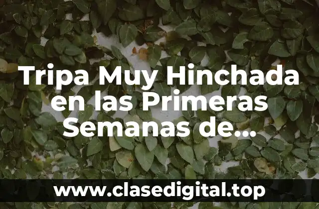 Tripa Muy Hinchada en las Primeras Semanas de Embarazo