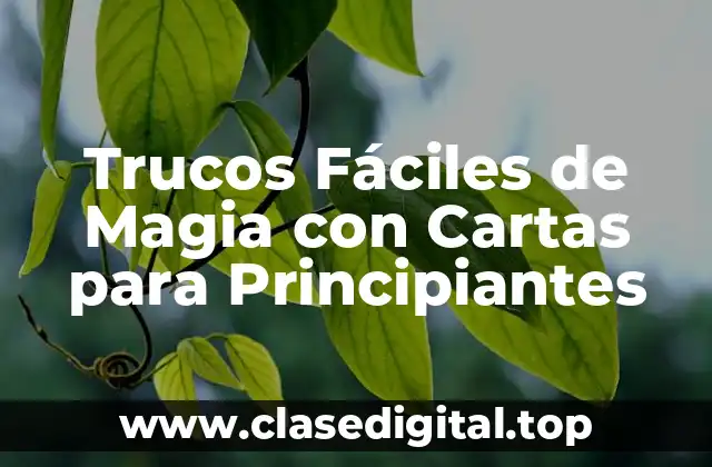Trucos Fáciles de Magia con Cartas para Principiantes