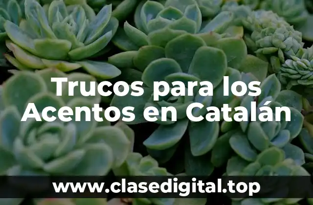 Trucos para los Acentos en Catalán