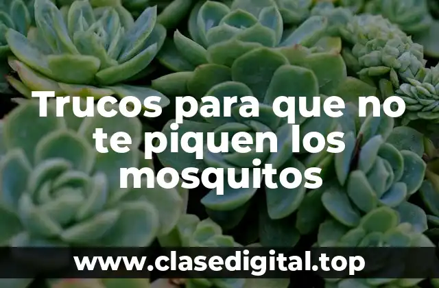 Trucos para que no te piquen los mosquitos