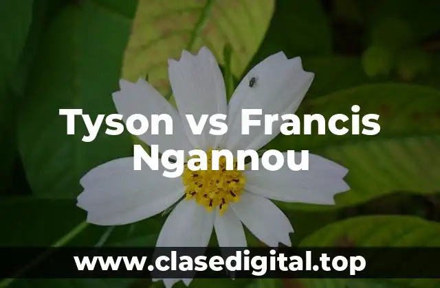 Tyson vs Francis Ngannou