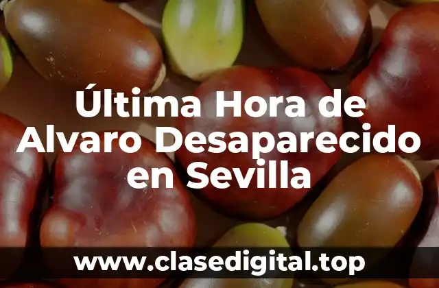Última Hora de Alvaro Desaparecido en Sevilla
