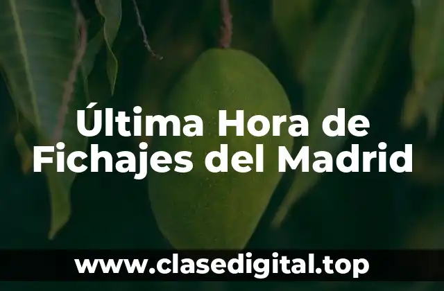 Última Hora de Fichajes del Madrid