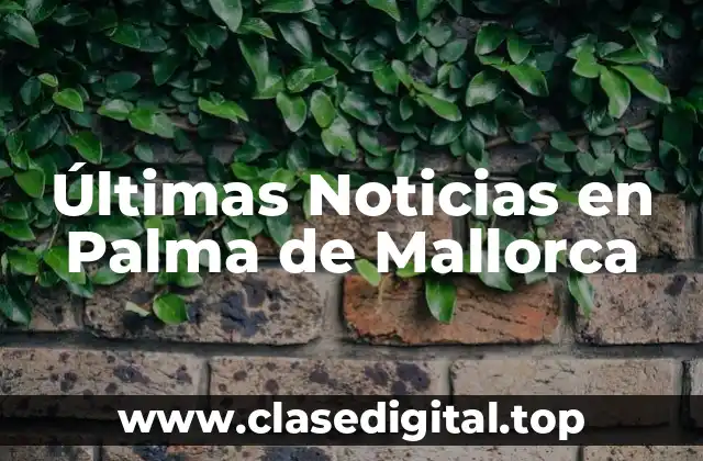 Últimas Noticias en Palma de Mallorca