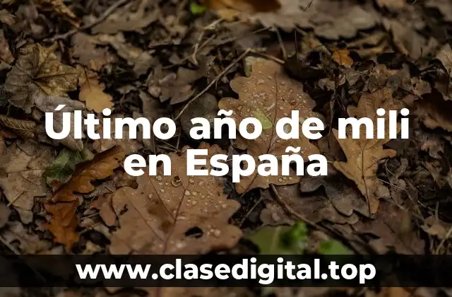 Último año de mili en España