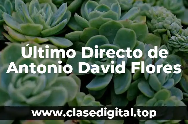 Último Directo de Antonio David Flores