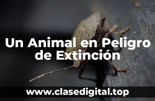 Un Animal en Peligro de Extinción