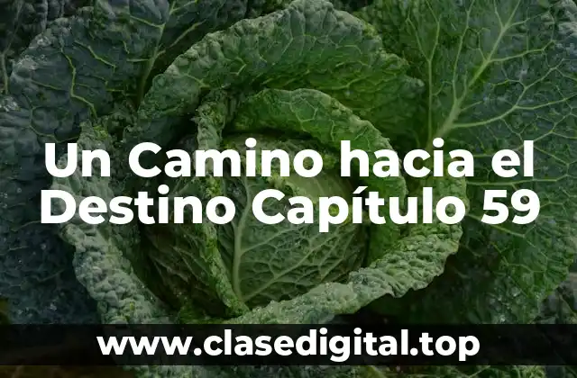 Un Camino hacia el Destino Capítulo 59