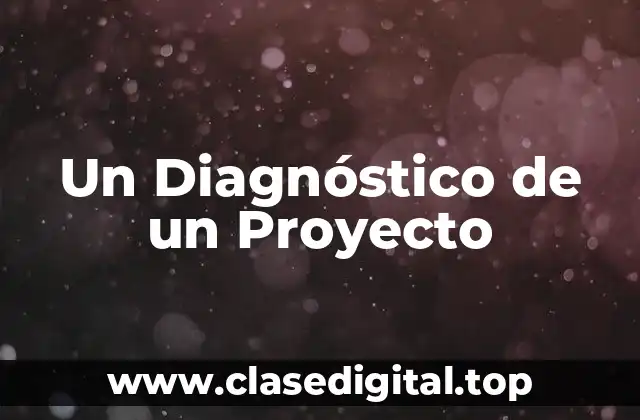 Un Diagnóstico de un Proyecto