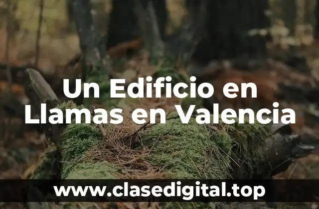 Un Edificio en Llamas en Valencia