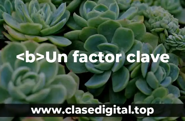 <b>Un factor clave