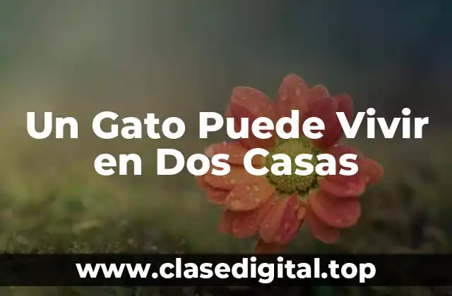 Un Gato Puede Vivir en Dos Casas