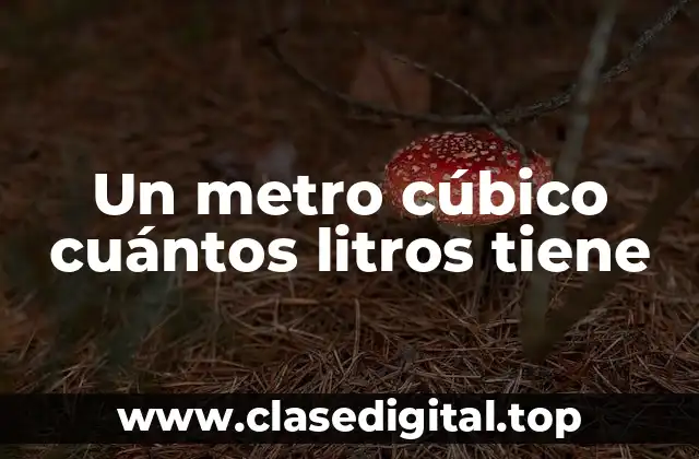 Un metro cúbico cuántos litros tiene