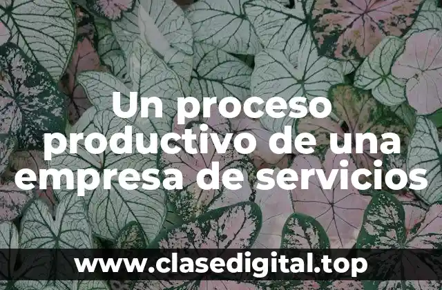 Un proceso productivo de una empresa de servicios