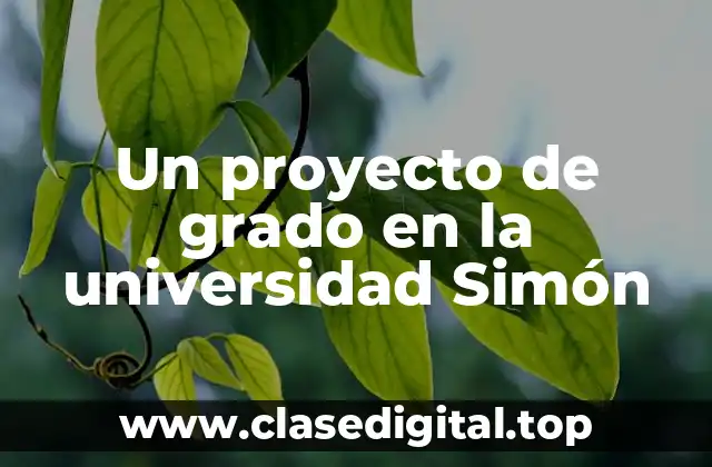 Ejemplos de proyectos de grado en la universidad Simón