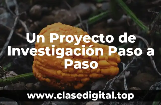 Un Proyecto de Investigación Paso a Paso